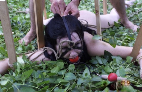 Dark-haired babe Paige Richards gets tied up spread naked in the back yard