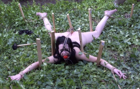 Dark-haired babe Paige Richards gets tied up spread naked in the back yard