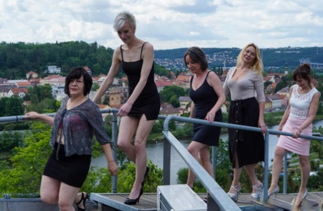 Insatiable mature women share a muscular dude's dick in an orgy on the rooftop